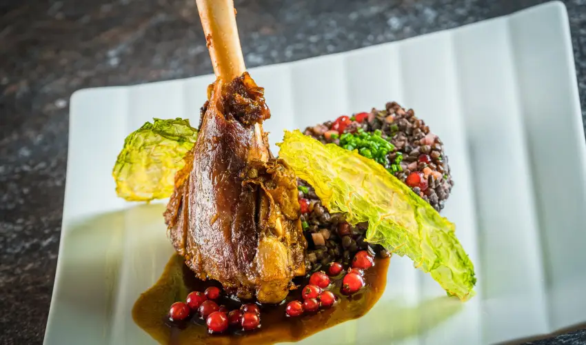 Bonvital Wellness & Gastro Hotel Hvz Hvz - Oktber 23. (min. 3 j)