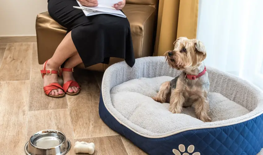 Bonvital Wellness & Gastro Hotel Hvz Hvz - Oktber 23. (min. 3 j)