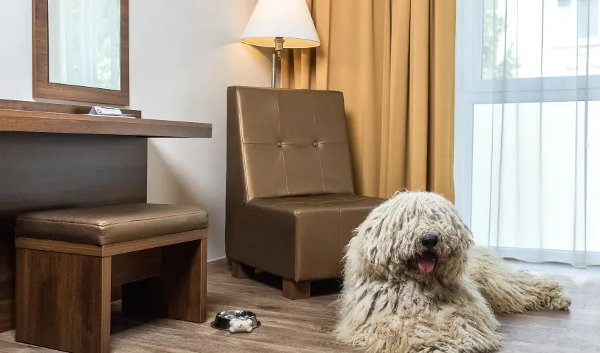 Bonvital Wellness & Gastro Hotel Hvz Hvz - Oktber 23. (min. 3 j)