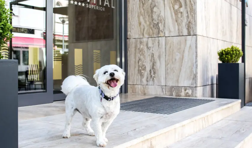 Bonvital Wellness & Gastro Hotel Hvz Hvz - Oktber 23. (min. 3 j)