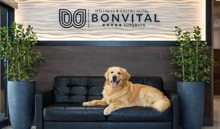 Bonvital Wellness & Gastro Hotel H�v�z H�v�z - Okt�ber 23. - teljes el�refizet�ssel (min. 3 �j)