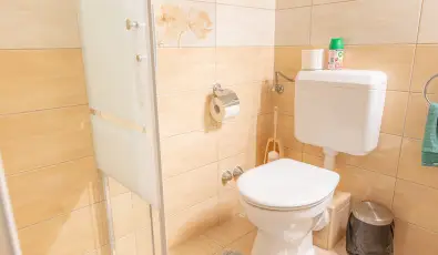 Borbla Vendghz Gyenesdis