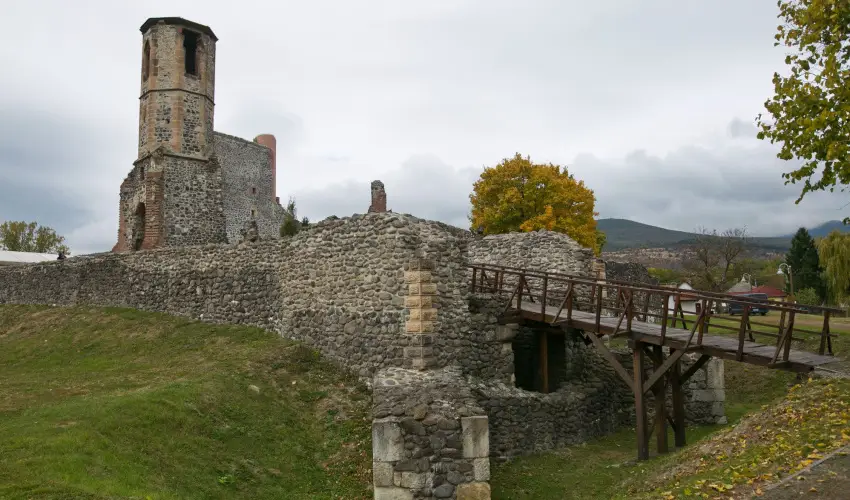 Borka Panzi Pardfrd - Oktber 23. (min. 2 j)