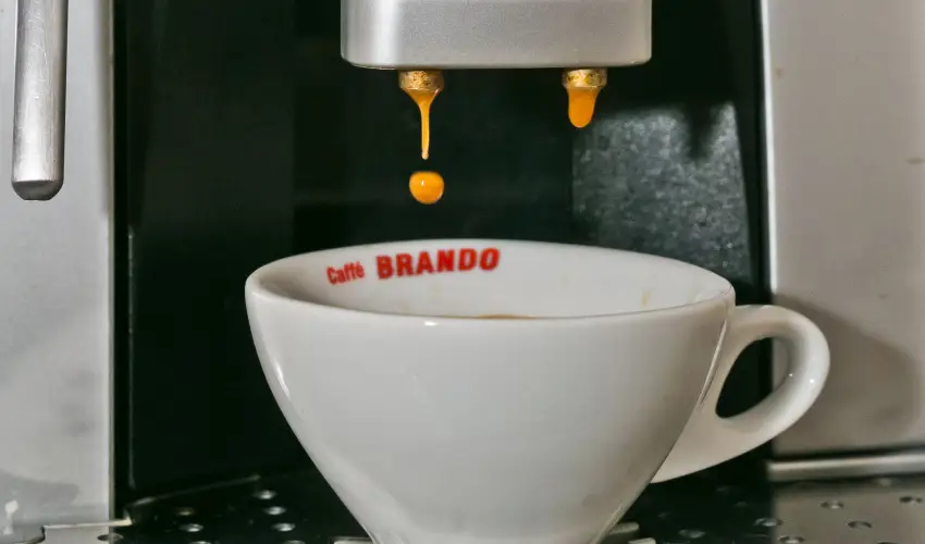 Borka Panzi Pardfrd - Oktber 23. (min. 2 j)