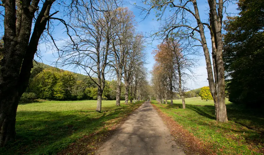 Borka Panzi Pardfrd - Oktber 23. (min. 2 j)