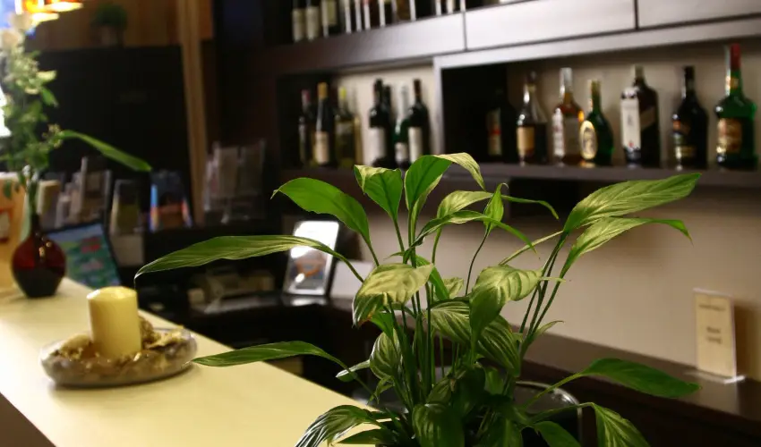 Central Hotel 21 Budapest - Oktber 23. - teljes elrefizetssel (min. 2 j)