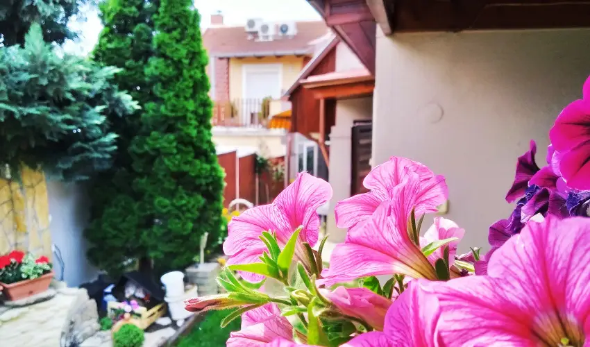 Csobog Vendghz Eger - Oktber 23. (min. 2 j)