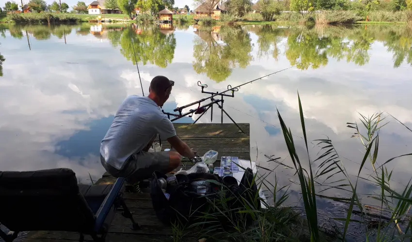 Csodaszarvas Tjpark Rbahdvg - Oktber 23. (min. 2 j)