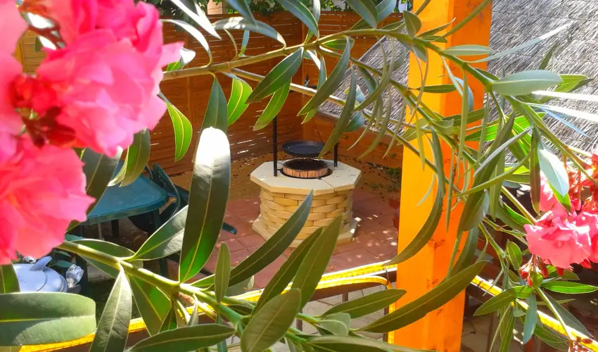 Dek Vendghz Hajdszoboszl - Oktber 23. (min. 2 j)