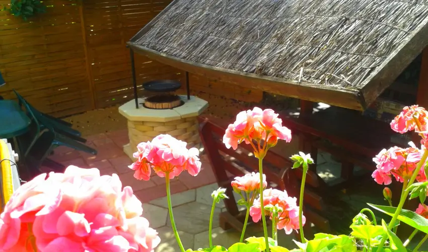 Dek Vendghz Hajdszoboszl - Oktber 23. (min. 2 j)