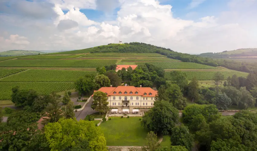 grf Degenfeld Kastlyszll Tarcal - Oktber 23. 