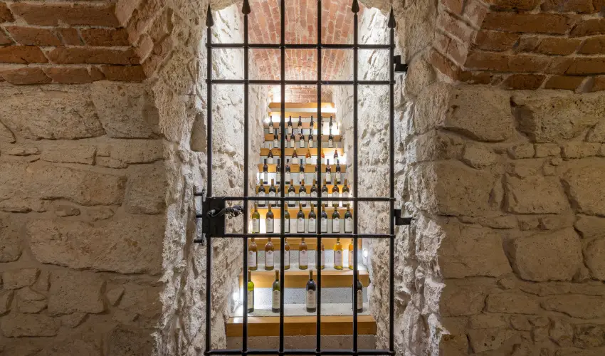 grf Degenfeld Kastlyszll Tarcal - Oktber 23. 