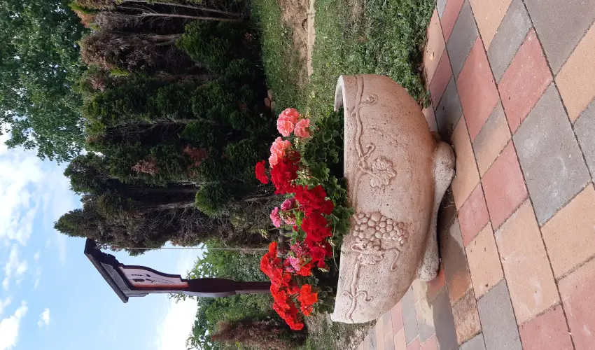 Difa Vendghz Kehidakustny - Oktber 23. (min. 3 j)