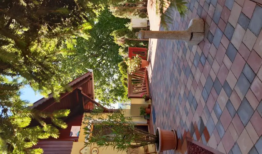 Difa Vendghz Kehidakustny - Oktber 23. (min. 3 j)