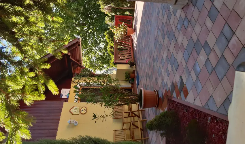 Difa Vendghz Kehidakustny - Oktber 23. (min. 3 j)