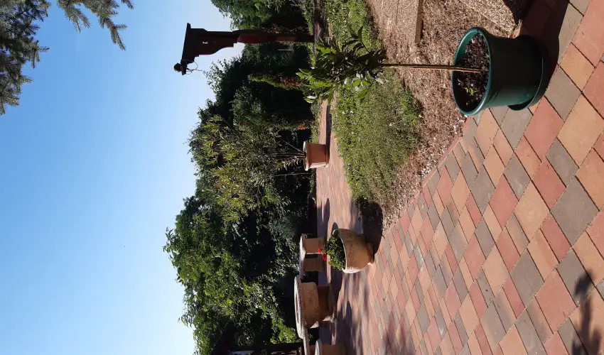 Difa Vendghz Kehidakustny - Oktber 23. (min. 3 j)