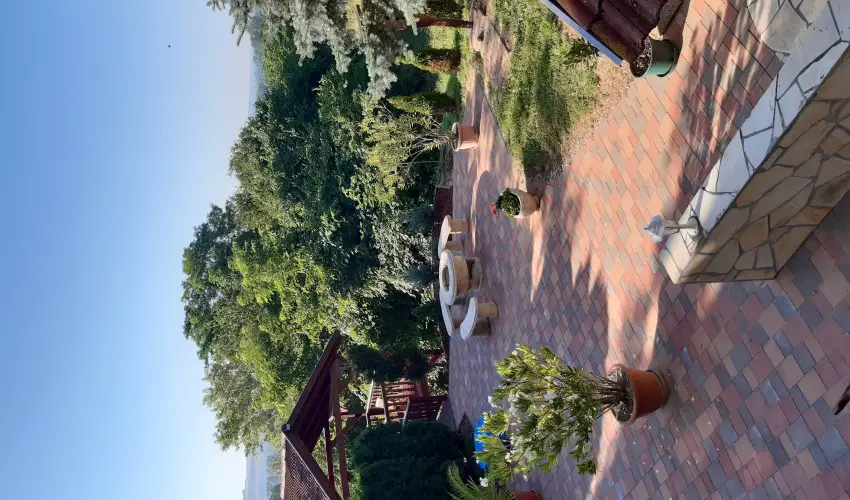 Difa Vendghz Kehidakustny - Oktber 23. (min. 3 j)