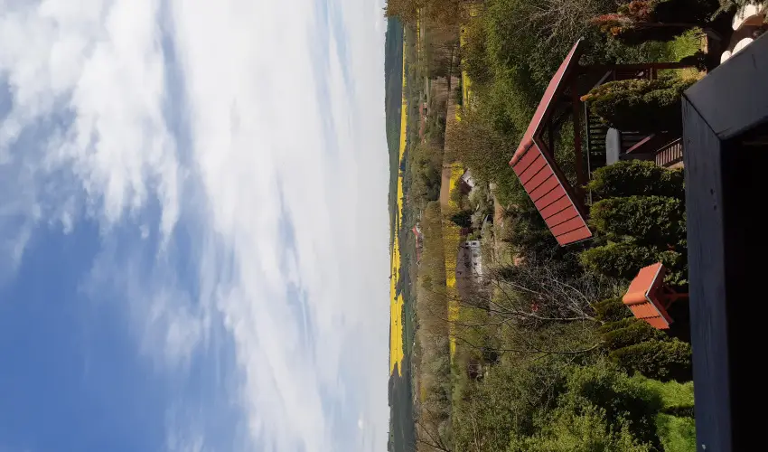 Difa Vendghz Kehidakustny - Oktber 23. (min. 3 j)