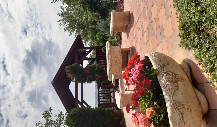 Difa Vendghz Kehidakustny - Oktber 23. (min. 3 j)