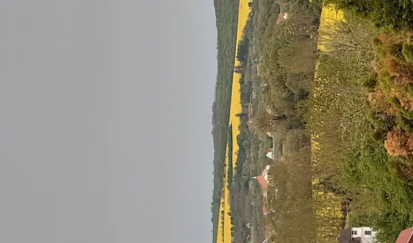 Difa Vendghz Kehidakustny - Oktber 23. (min. 3 j)