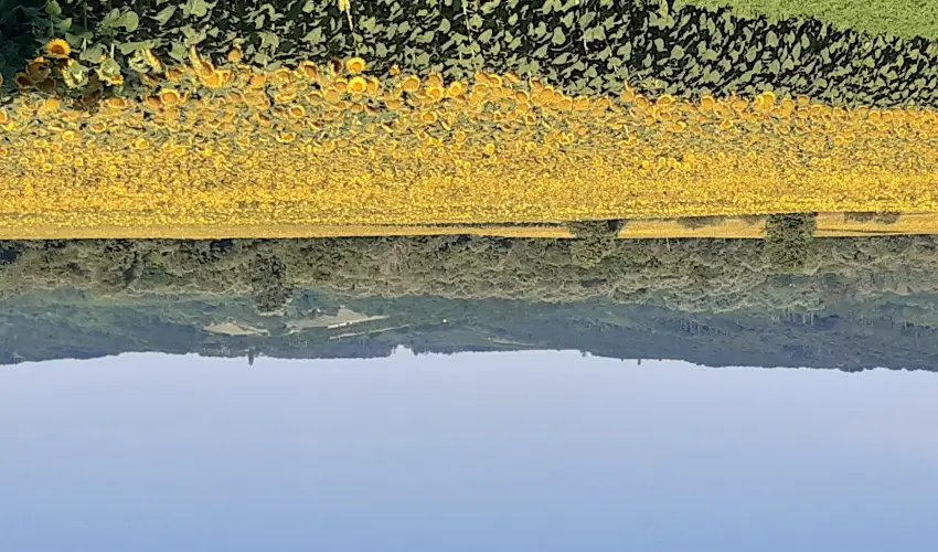 Difa Vendghz Kehidakustny - Oktber 23. (min. 3 j)