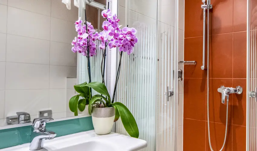 Drva Hotel Thermal Resort Harkny - Oktber 23. (min. 2 j)