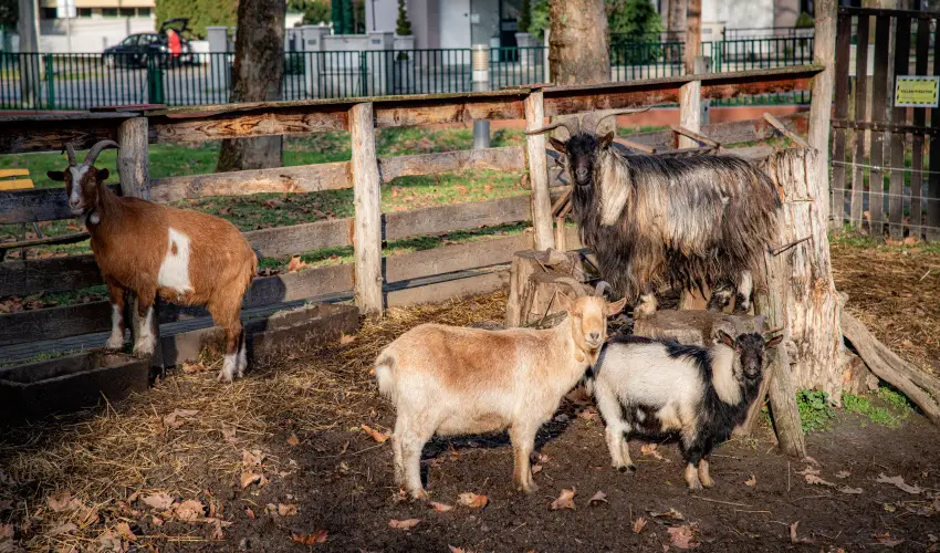 Dr�va Hotel Thermal Resort Hark�ny - Okt�ber 23. - teljes el�refizet�ssel (min. 2 �j)