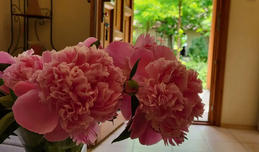 Dream Horse Apartman Cserkeszl - Oktber 23. (min. 2 j)