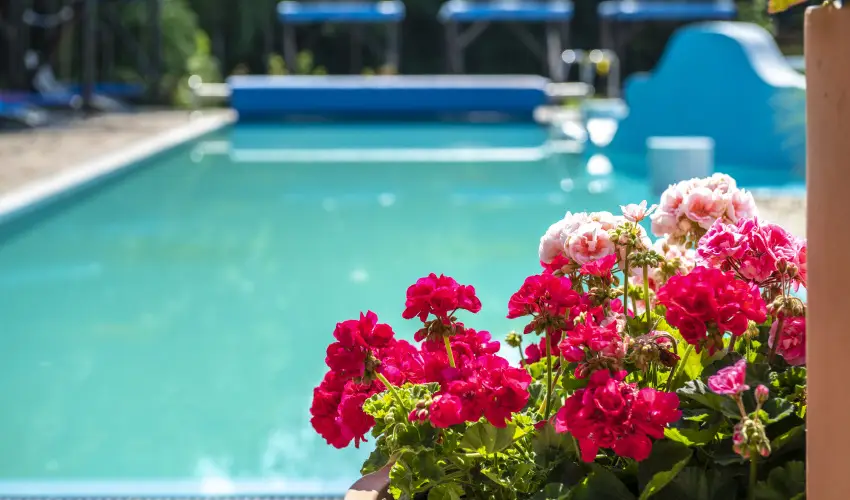 Duna Relax Hotel R�ckeve - Okt�ber 23. 