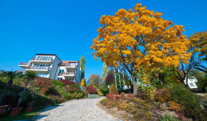 Echo Residence All Suite Hotel Tihany - Oktber 23. (min. 2 j)