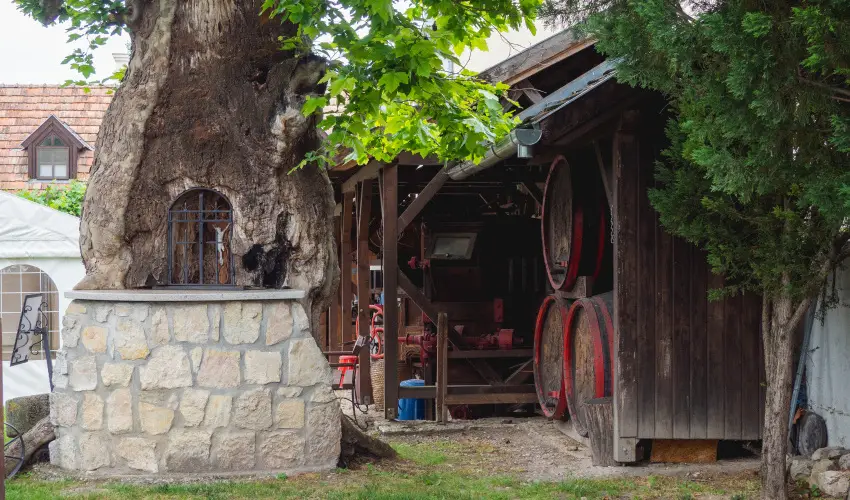 Edvy Malom Fogad s Barokk Udvarhz Ppa - Oktber 23. (min. 2 j)