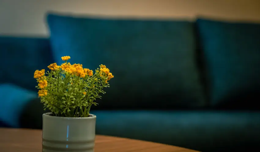 Eleven Business & Sport Hotel Jszrokszlls - Oktber 23.