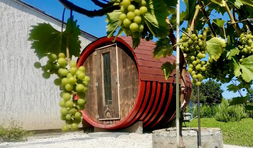 lmny Vendghz Csurg - Oktber 23.