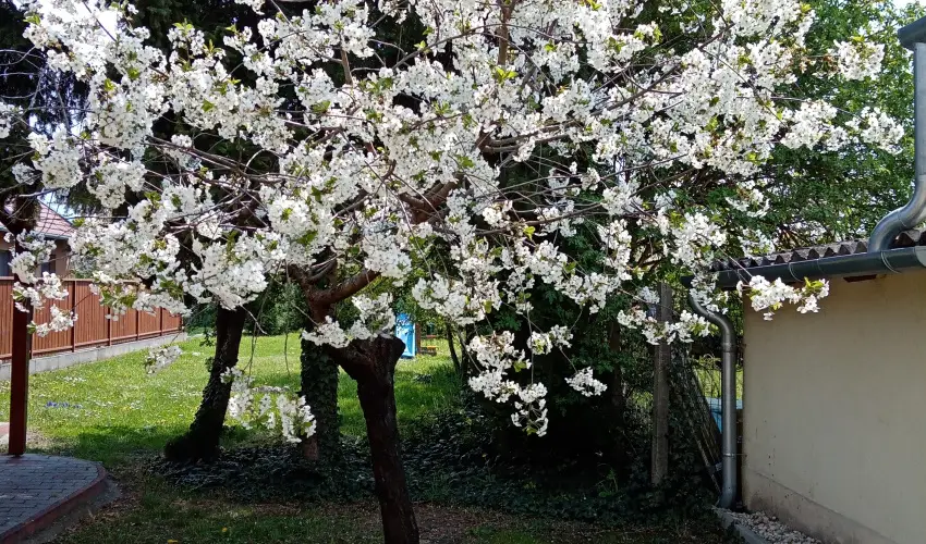 Etvs Nyaral Sifok - Oktber 23. (min. 4 j)