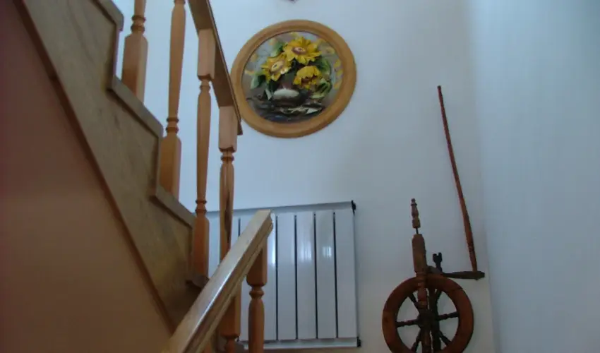 Szarvas Panzi� Erd�b�nye - Okt�ber 23. (min. 2 �j)