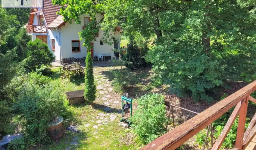 Szarvas Panzi� Erd�b�nye - Okt�ber 23. (min. 2 �j)