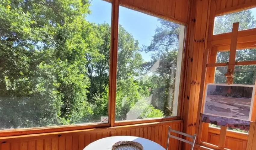 Szarvas Panzi� Erd�b�nye - Okt�ber 23. (min. 2 �j)