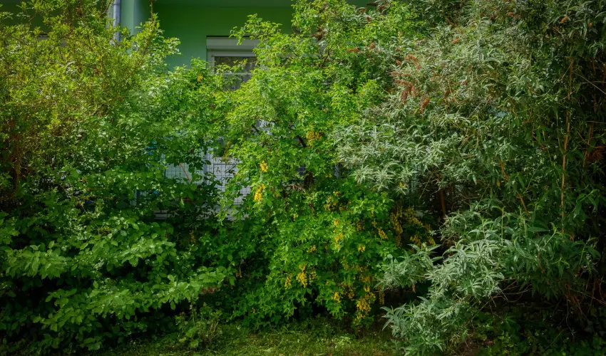 Erika Apartman Srvr - Oktber 23. (min. 2 j)