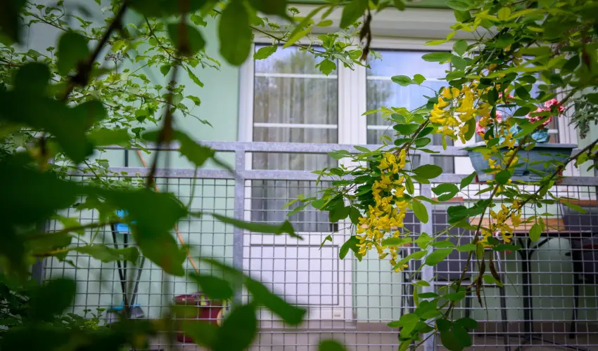 Erika Apartman Srvr - Oktber 23. (min. 2 j)