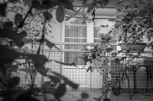 Erika Apartman - Oktber 23. (min. 2 j)