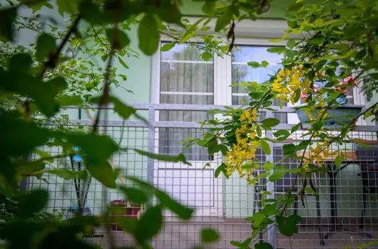 Erika Apartman - Oktber 23. (min. 2 j)