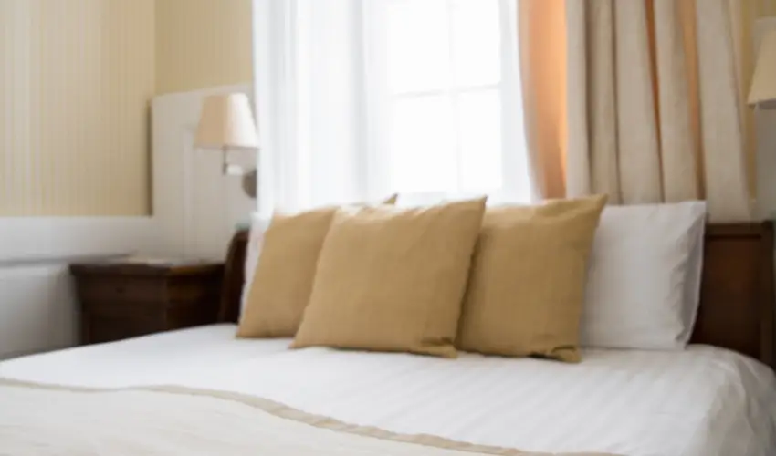 Erzsbet Nagy Szlloda Paks - Oktber 23.