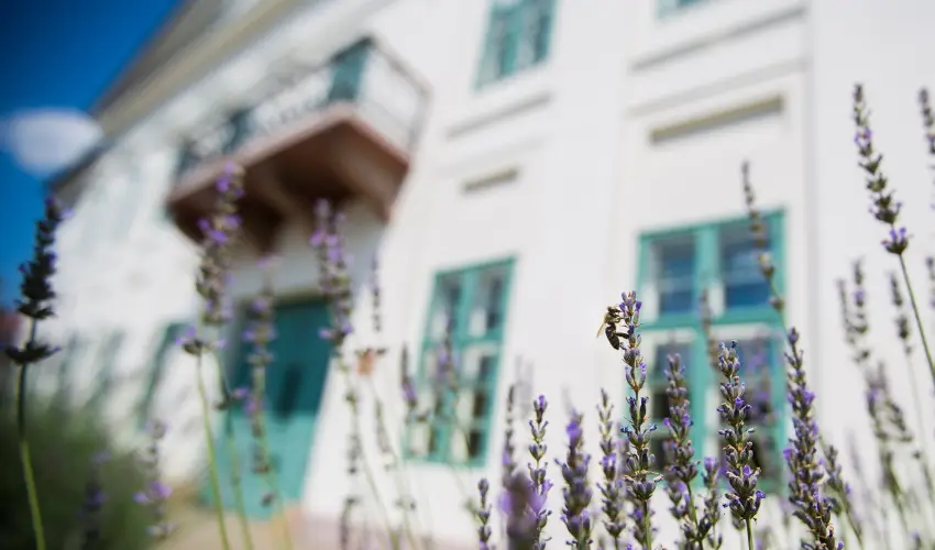 Erzsbet Nagy Szlloda Paks - Oktber 23.