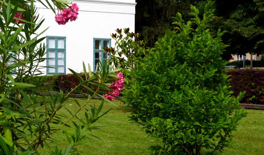 Erzsbet Nagy Szlloda Paks - Oktber 23.