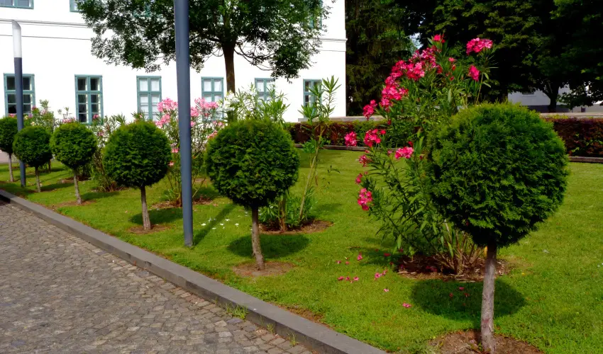 Erzsbet Nagy Szlloda Paks - Oktber 23.