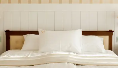 Erzs�bet Nagy Sz�lloda Paks