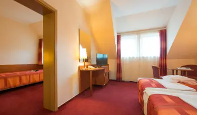 Erzsbet Park Hotel Pardfrd
