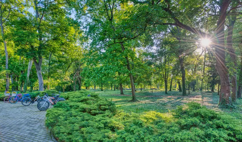 Fnix Wellness Resort Ngrdgrdony - Oktber 23.