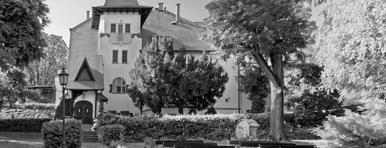 Fried Kastly Hotel Simontornya - Oktber 23. (min. 2 j)