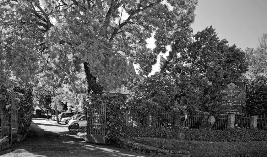 Fried Kastly Hotel Simontornya - Oktber 23. (min. 2 j)